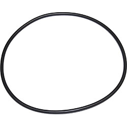 Lagostina Joint de cuve pour autocuiseur - 240 mm