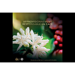 Acheter L'or Capsules café Double Splendente