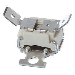 Bosch Thermostat de sécurité pour four