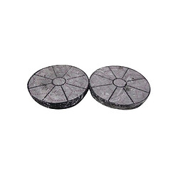 Indesit Filtre à charbon pour hotte - Lot de 2