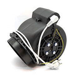 Falmec moteur complet pour hotte