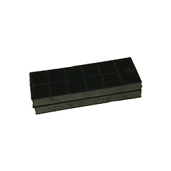 Rosières Filtres à Charbon (x2) Lot de 2 filtres à charbon - Compatible Candy/Hoover/Rosières - Dimensions 25 x 9,5 x 2,3 cm