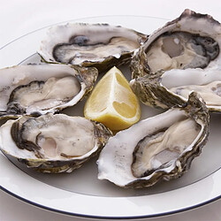 Cook Concept Coffret Couteau à Huitres pas cher