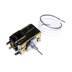 Far Thermostat pour réfrigérateur Thermostat pour réfrigérateur - Sonde K60L2146 S20170219 - Compatible FAR FS320, Siltal, Ignis - Réf. 0225080
