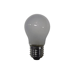Samsung lampe réfrigérateur E27 40 W 230 V