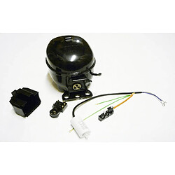 Beko compresseur pour réfrigérateur Jiaxipera NS1121Y Compresseur pour réfrigérateur - Modèle Jiaxipera NS1121Y - Compatible Beko - Pièce d’origine constructeur