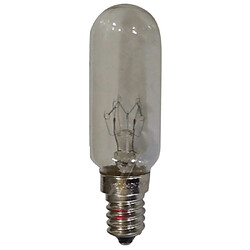 Samsung lampe incandescente réfrigérateur 30W