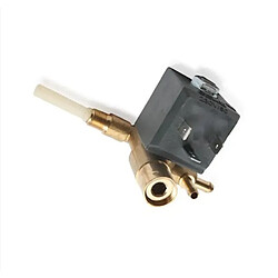 Calor distributeur de vapeur pour générateur vapeur Accessoire de repassage - Distributeur de vapeur compatible Calor et Rowenta - Réf. 188500