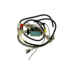 Rowenta Pompe avec vanne et faisceau pour centrale vapeur