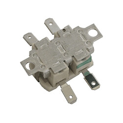 Astoria Thermostat et fusible pour centrale vapeur