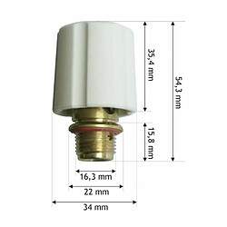 Laurastar bouchon pour Premium S3