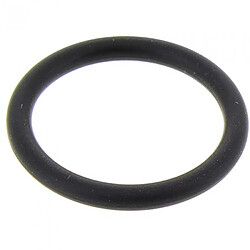 Karcher Joint de bouchon pour nettoyeur vapeur