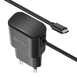 Bluestar Avizar Chargeur Secteur 2A + Micro-USB 120cm pas cher