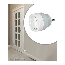 Legrand adaptateur 2P+T Schuko vers prise française Type E