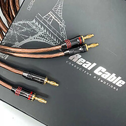 Real Cable Elite 300 2x5m
