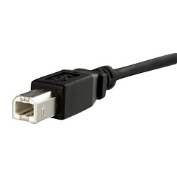 StarTech.com Startech Câble USB B panneau M/F Câble d’extension USB B monté sur panneau - connecteur mâle vers port femelle - 1 port USB - idéal pour boîtiers et baies
