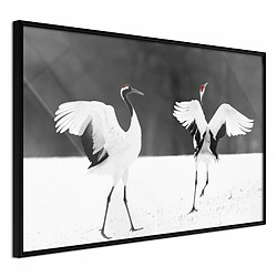 Paris Prix Affiche Encadrée Bird Date - 60x40 cm - Multicolore