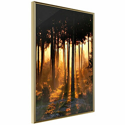 Paris Prix Dark Tree Tops - 20x30 cm