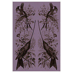 Beneffito Nature Poster - Birds