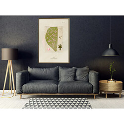 Affiche & poster