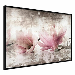 Paris Prix Picked Magnolias Affiche encadrée murale - Papier haute qualité 170 g/m² - Cadre en plastique MDF - UV résistant - Multicolore
