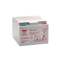 Yuasa NP24-12FR - Batterie Plomb Étanche - 12V 24Ah