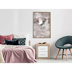 Affiche & poster