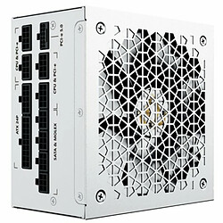 Avis Forgeon Bolt 1000 1000W