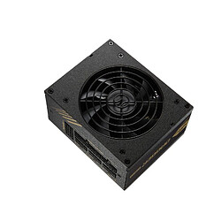 Acheter FSP Dagger PRO