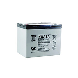 Yuasa REC80-12