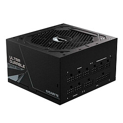 Gigabyte UD1000GM
