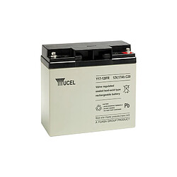 Yuasa Batterie Y17-12FR