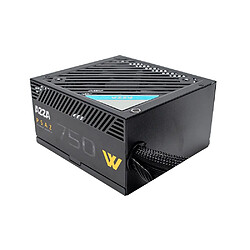 Avis PSAZ-750W 750W