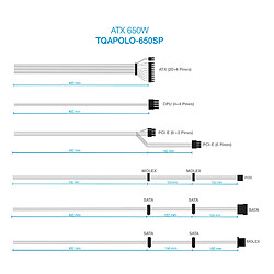 Tooq TQAPOLO-650SP 650W pas cher