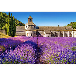 Castorland Lavender Field Puzzle 1000 pcs