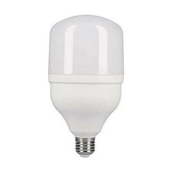 Edm Ampoule LED E27 20W, lumière froide