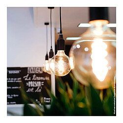 But Ampoule LED globe spirale E27