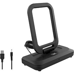 T'nB Antenne intérieure 38 dB - Noir