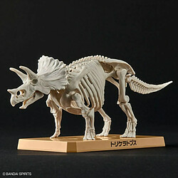 Avis Bandai maquette dinosaure Triceratops