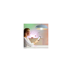 Acheter Pack 2 Ampoules LED Intelligentes WiFi + Bluetooth E27 A60 Dimmable WiZ 8W Blanc chaud 2700K