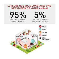 Frontline Spot On 6 pipettes chien 10-20 kg pas cher