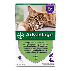 Advantage 80 - Pipettes antiparasitaires - Chat/Lapin