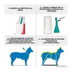 Avis Frontline Spot On 6 pipettes chien 10-20 kg