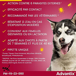 Advantix 4 Pipettes Antiparasitaires - Très Grand Chien pas cher
