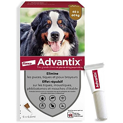 Advantix Pipette 40-60 Kg