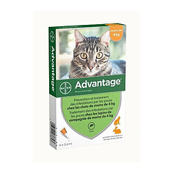 Advantage 40 - Pipettes antiparasitaires - Chat/Lapin