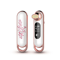 Chrono appareil de soin visage RF