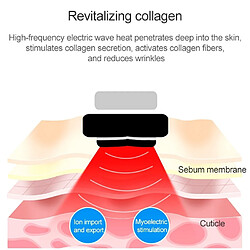 Wewoo masseur visage RF & EMS pas cher