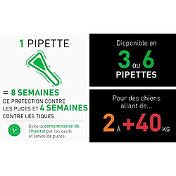 Frontline Combo 6 pipettes pour chien 10-20 kg