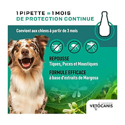 Anti-parasitaire pour chien